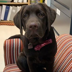 Meet your Posher, Any